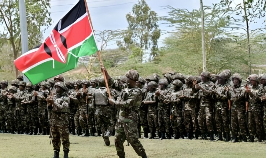 KDF Salary, Ranks and Allowances 2024: How Much Do KDF Members Really Earn?