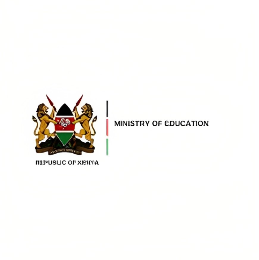 Organizational Structure of the Ministry of Education in Kenya 2024
