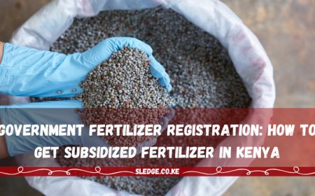 Subsidized Fertilizer Program in Kenya 2024: Eligibility, Registration, and Distribution