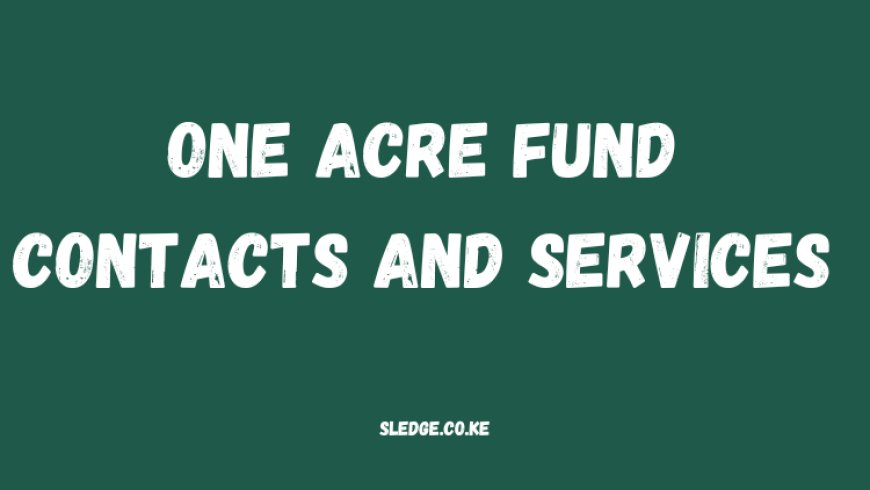 One Acre Fund Contacts and Services: Here Is How To Get In Touch With One Acre Fund Kenya
